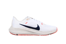 Nike Pegasus 40